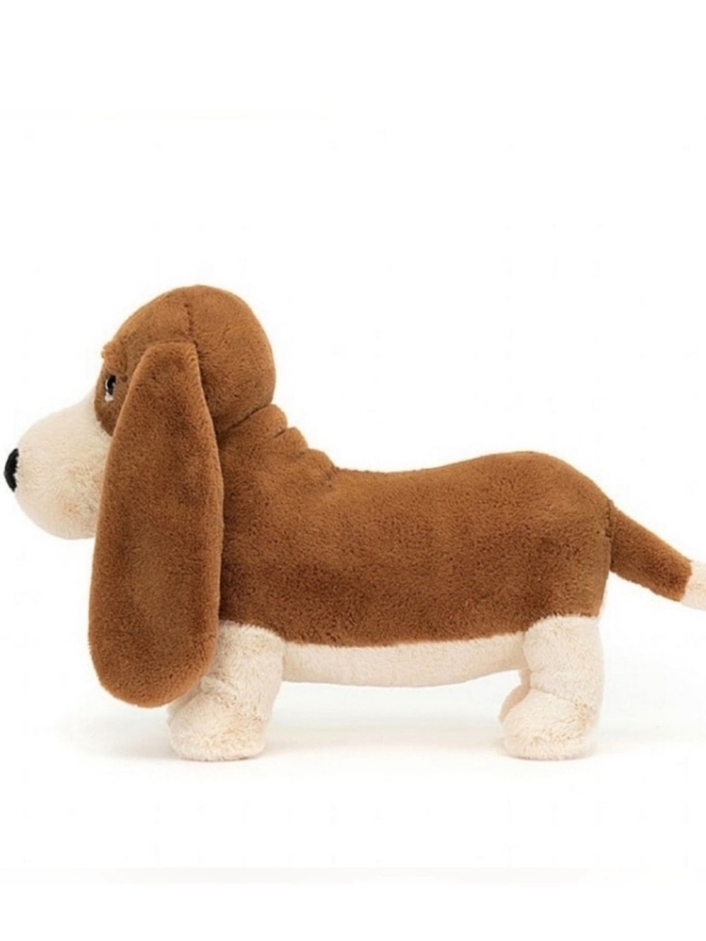 Jellycat Randall Basset Hound - Picture 5 of 9